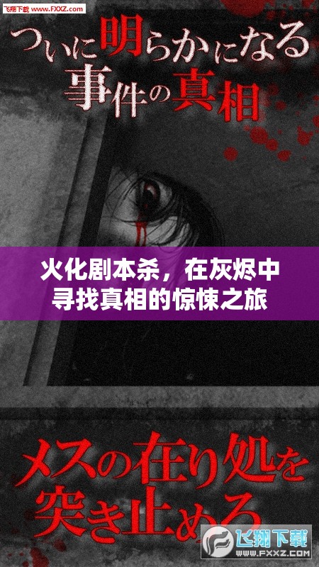 灰燼中的真相，火化劇本殺驚悚之旅