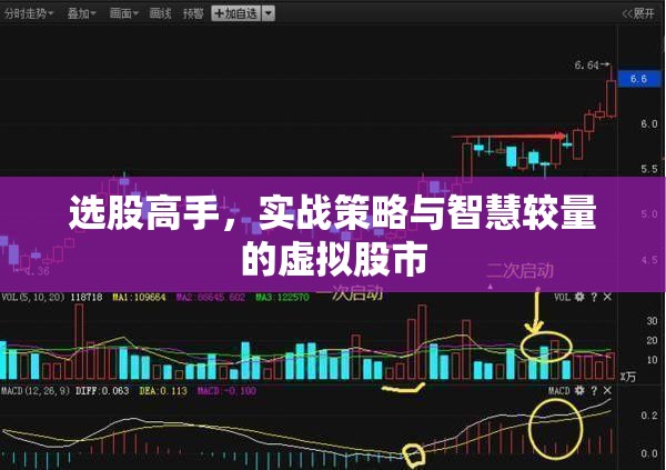 選股高手，實(shí)戰(zhàn)策略與智慧較量的虛擬股市