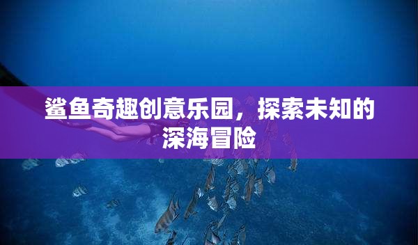 鯊魚奇趣創(chuàng)意樂園，解鎖深海未知的冒險之旅  第2張