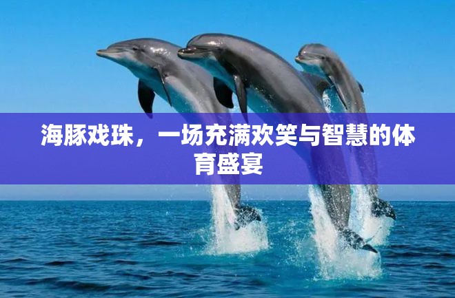 海豚戲珠，一場充滿歡笑與智慧的體育盛宴