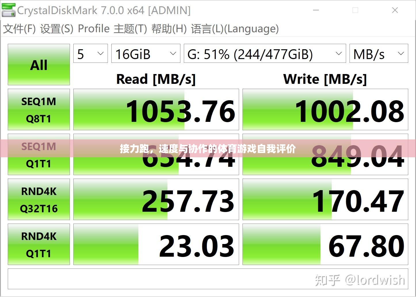 接力跑，速度與協(xié)作的完美融合——我的體育游戲自我評價  第1張