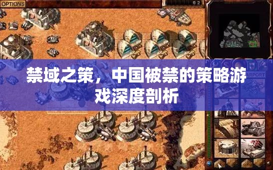 禁域之策，深度剖析中國被禁的策略游戲