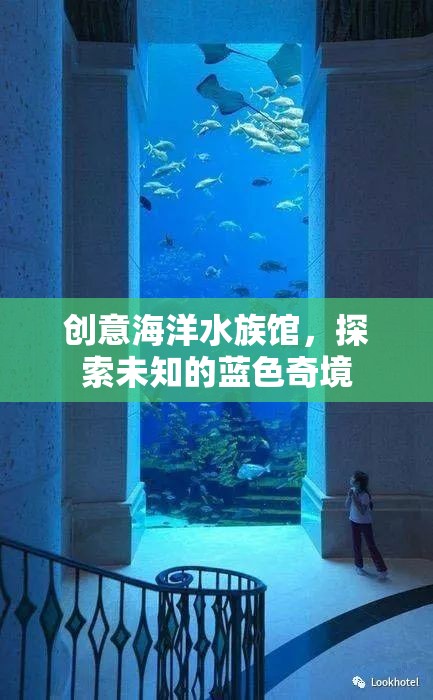 藍(lán)色奇境，創(chuàng)意海洋水族館的探索之旅  第1張