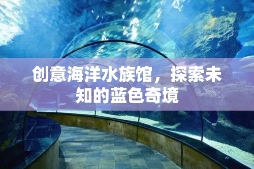 藍(lán)色奇境，創(chuàng)意海洋水族館的探索之旅  第2張