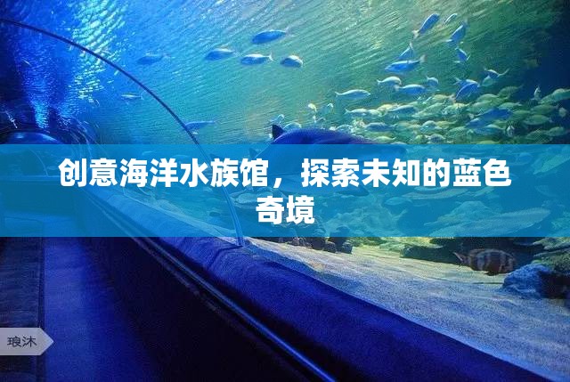 藍(lán)色奇境，創(chuàng)意海洋水族館的探索之旅  第3張