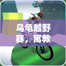 寓教于樂的烏龜越野賽，激發(fā)孩子運動興趣的體育游戲教案  第2張