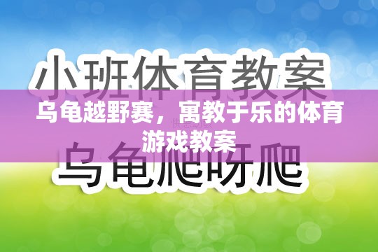 寓教于樂的烏龜越野賽，激發(fā)孩子運動興趣的體育游戲教案  第3張