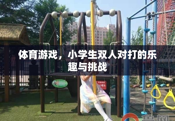 小學生雙人對打，體育游戲中的樂趣與挑戰(zhàn)