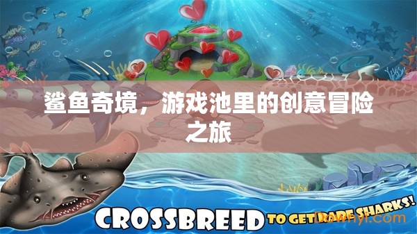 鯊魚(yú)奇境，游戲池中的創(chuàng)意冒險(xiǎn)之旅