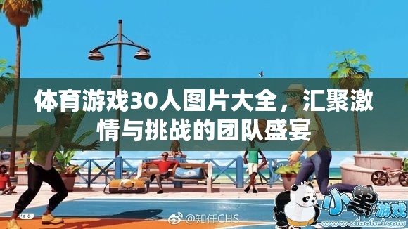 30人體育游戲圖片集錦，激情與挑戰(zhàn)的團隊盛宴