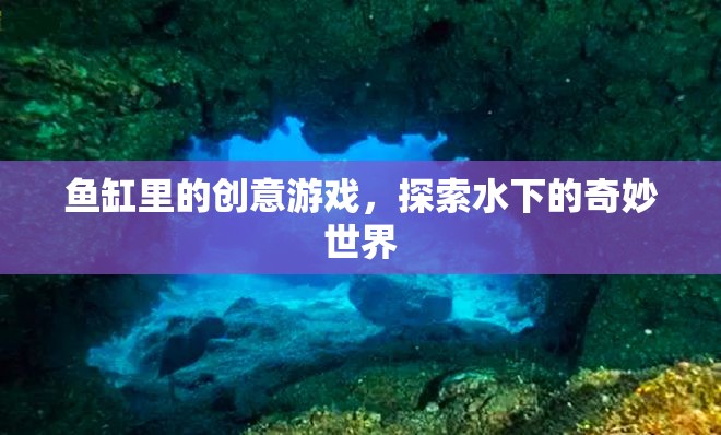 魚缸里的創(chuàng)意游戲，探索水下的奇妙世界  第2張