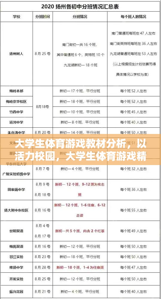 活力校園，大學(xué)生體育游戲精選教材的分析與探討