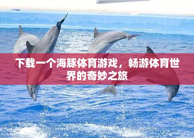 海豚體育游戲，開啟你的奇妙體育之旅