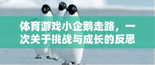 小企鵝的行走挑戰(zhàn)，一場關(guān)于勇氣與成長的體育游戲反思之旅