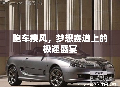 跑車疾風(fēng)，夢(mèng)想賽道上的極速盛宴