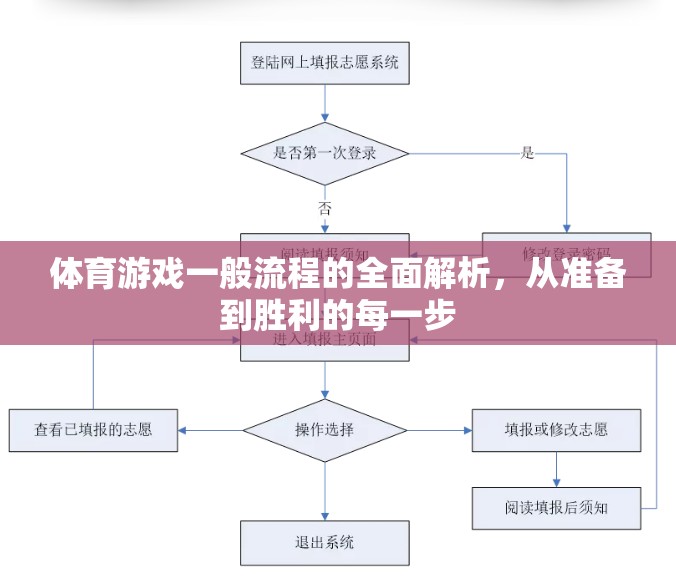 體育游戲全面解析，從準備到勝利的每一步