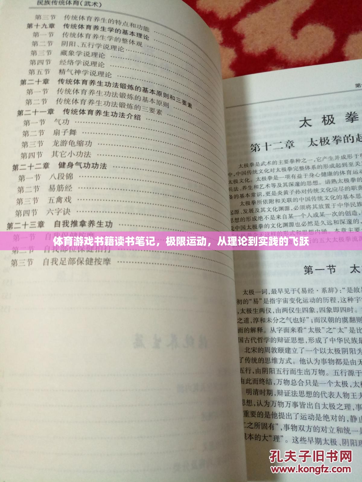 極限挑戰(zhàn)，體育游戲書籍中的理論與實(shí)踐飛躍