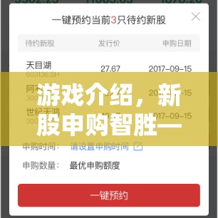 新股申購(gòu)智勝，策略與運(yùn)氣的精彩對(duì)決