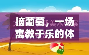 寓教于樂(lè)，以摘葡萄體育游戲?yàn)檩d體的教育反思