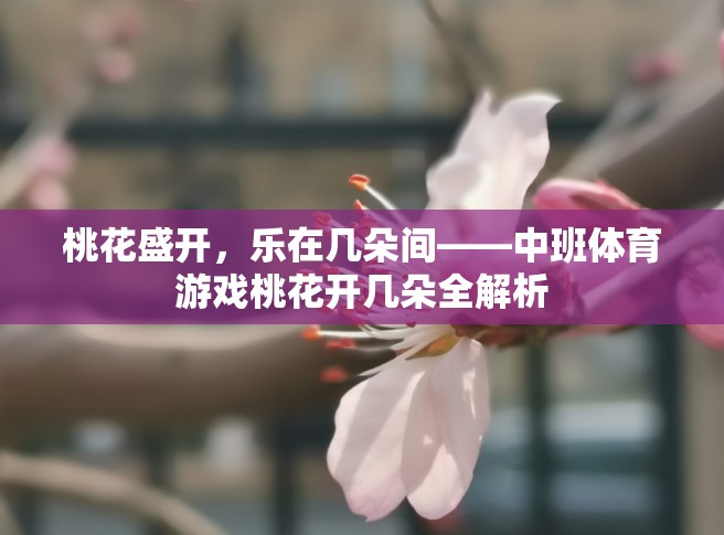 中班體育游戲桃花開幾朵，在桃花盛開中體驗樂趣的全面解析