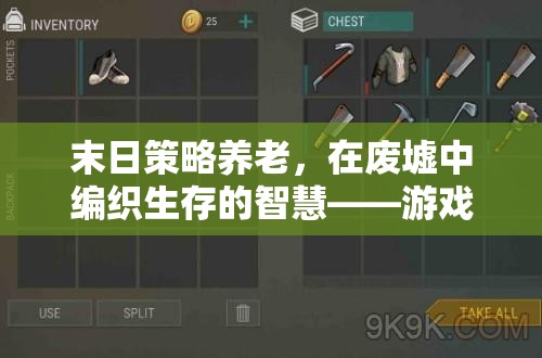 末日策略養(yǎng)老，在廢墟中編織生存的智慧