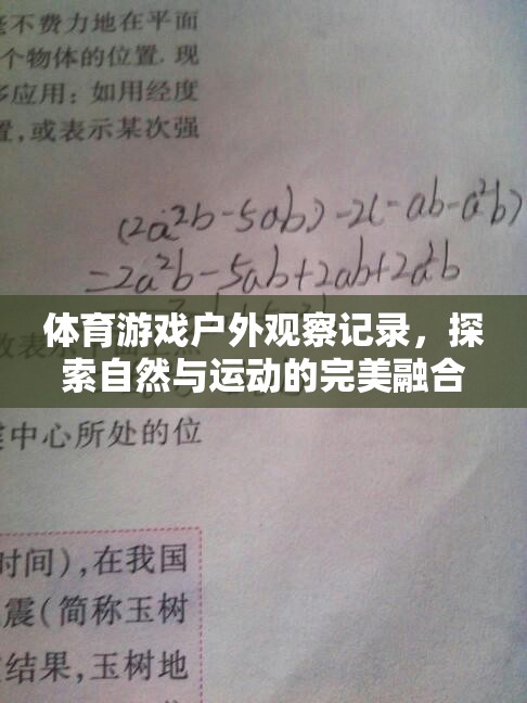 體育游戲戶外觀察記錄，探索自然與運動的完美融合——以森林探險賽為例