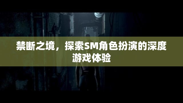 禁斷之境，解鎖SM角色扮演的深度游戲體驗(yàn)