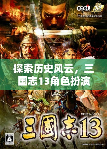 三國(guó)志13角色扮演游戲，深度探索歷史風(fēng)云