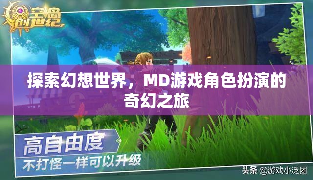 幻想世界的奇幻之旅，MD游戲角色扮演的探索