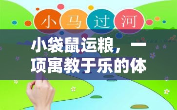 寓教于樂，小袋鼠運糧體育游戲教案設計