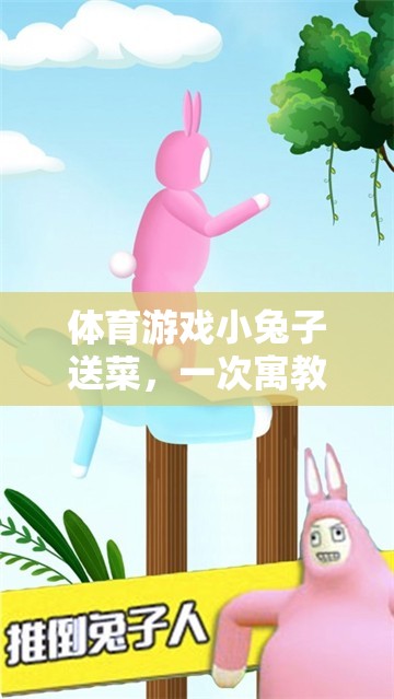 小兔子送菜，一次寓教于樂的體育游戲反思之旅