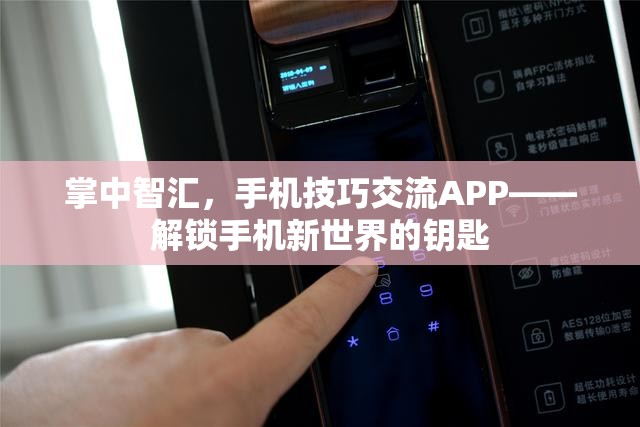 解鎖手機新世界的鑰匙，掌中智匯手機技巧交流APP