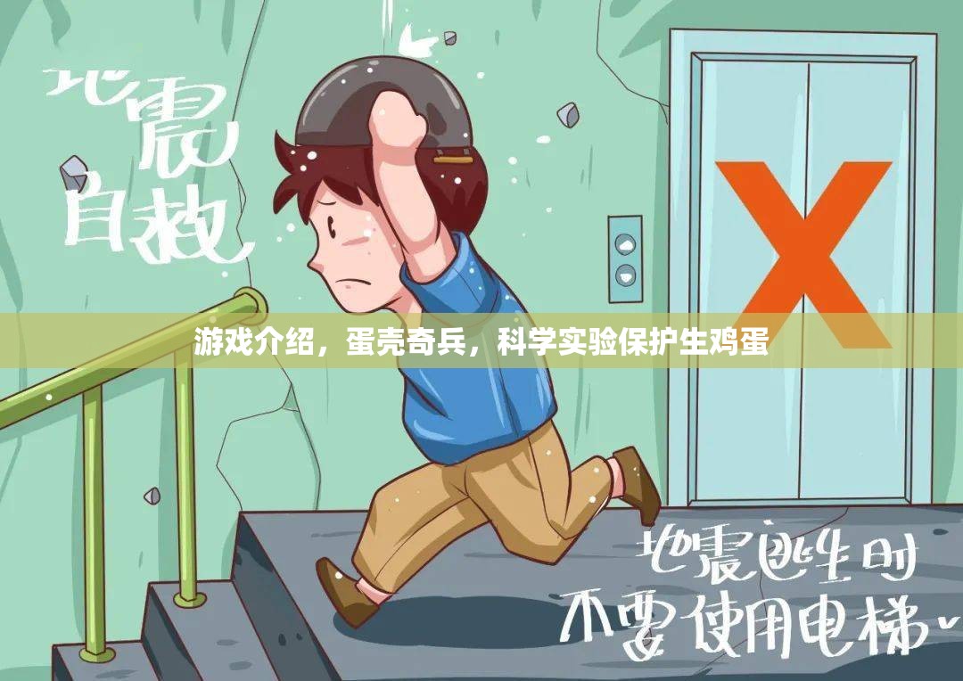 蛋殼奇兵，科學(xué)實驗中的生雞蛋守護者