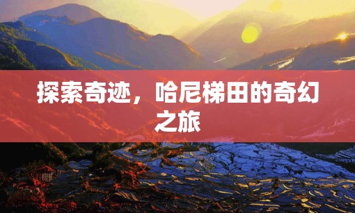 哈尼梯田，探索奇跡的奇幻之旅