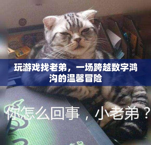 跨越數(shù)字鴻溝的溫馨冒險，與老弟共游游戲世界