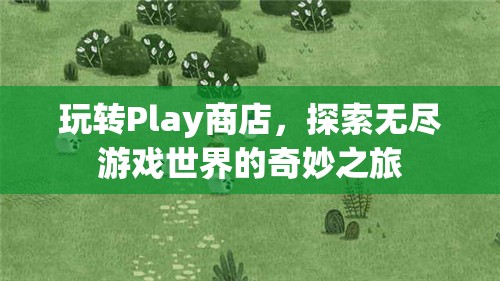 Play商店，探索無(wú)盡游戲世界的奇妙之旅