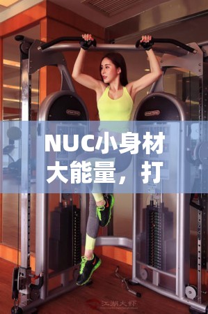 NUC小身材大能量，開啟游戲體驗的低溫革命