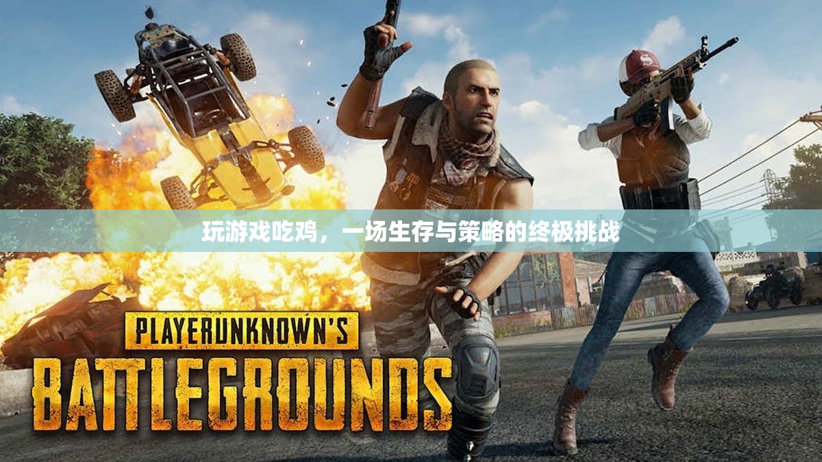 生存與策略的終極挑戰(zhàn)，揭秘吃雞游戲的魅力