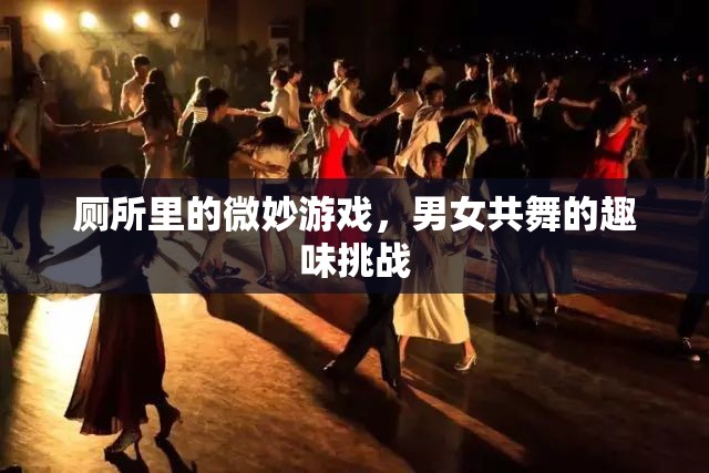 廁所里的微妙游戲，男女共舞的趣味挑戰(zhàn)
