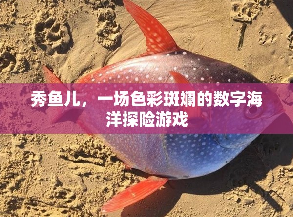 秀魚兒，色彩斑斕的數(shù)字海洋探險之旅