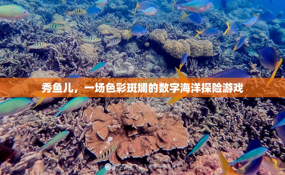 秀魚兒，色彩斑斕的數(shù)字海洋探險之旅