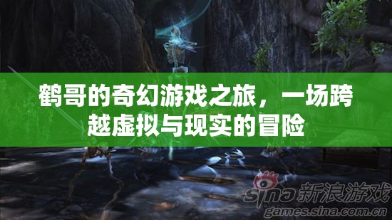 鶴哥的奇幻游戲，虛擬與現(xiàn)實的跨界冒險