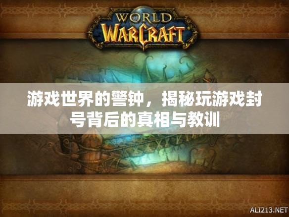 游戲世界的警鐘，揭秘玩游戲封號(hào)背后的真相與教訓(xùn)