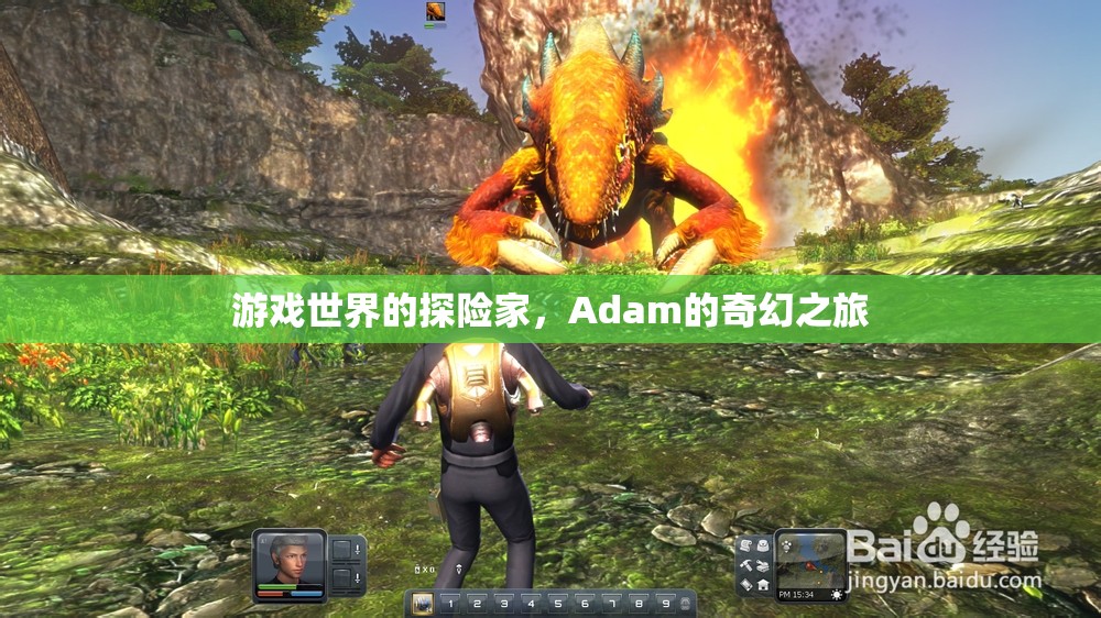 Adam的奇幻探險，游戲世界的奇妙之旅