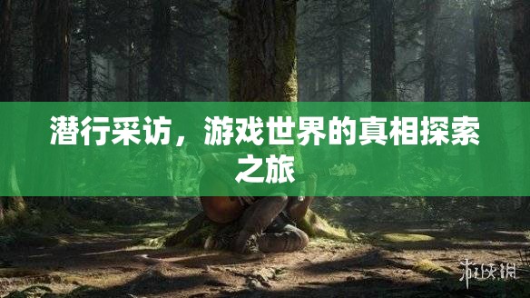 潛行探索，游戲世界的真相揭秘之旅