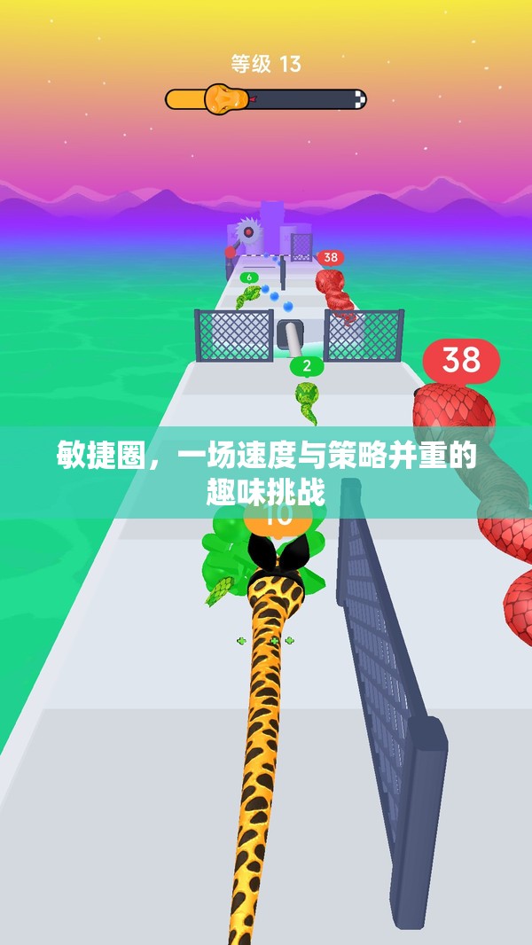 敏捷圈，速度與策略的趣味碰撞