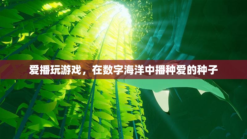 數(shù)字海洋中的愛(ài)播，在游戲中播種愛(ài)的種子