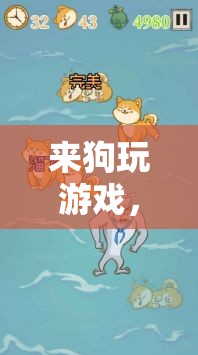 智慧與忠誠(chéng)的歡樂(lè)盛宴，來(lái)狗玩游戲