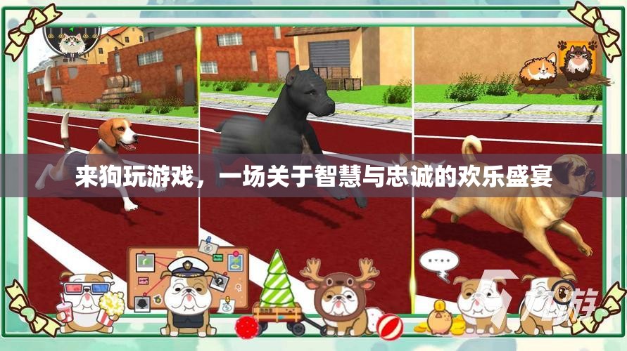 智慧與忠誠(chéng)的歡樂(lè)盛宴，來(lái)狗玩游戲