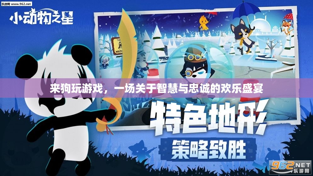 智慧與忠誠(chéng)的歡樂(lè)盛宴，來(lái)狗玩游戲